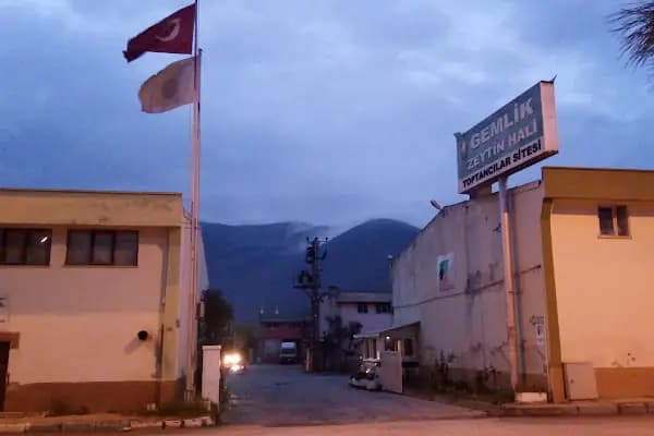 Gemlik Zeytin Hali Toptancılar Sitesi - Toptancı - Bursa İznik