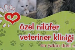 Özel Nilüfer Veteriner Kliniği