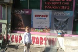 Cup Cup Akvaryum