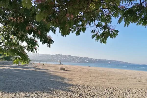 Büyükçekmece Plajı - Kumsal - İstanbul Adalar
