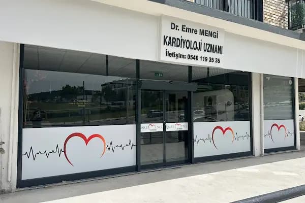 Emre Mengi Kalp ve Damar Hastalıkları Muaynehanesi - Kardiyolog - İzmir Aliağa