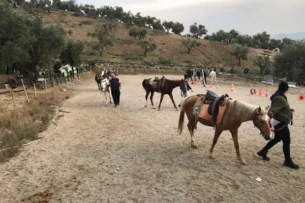 Kahramanmaraş Atlı Binicilik Spor Klubü - Spor Kulübü - Kahramanmaraş Afşin