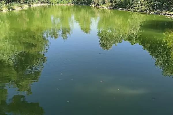 Kapıçam Tabiat Parkı - Ulusal Orman - Kahramanmaraş Onikişubat