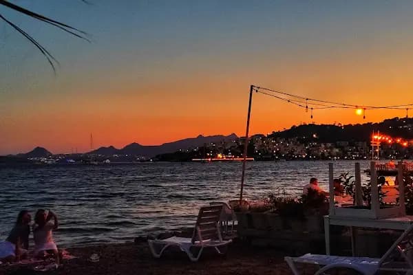 Bitez Cafe &amp; Restaurant - Bodrum Belediye A.Ş. - Kafeterya - Muğla Menteşe