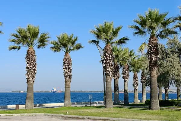 ALPAYLAR Zeytinyağı Fabrikası & SATIŞ NOKTASI - Üretici - İzmir Aliağa