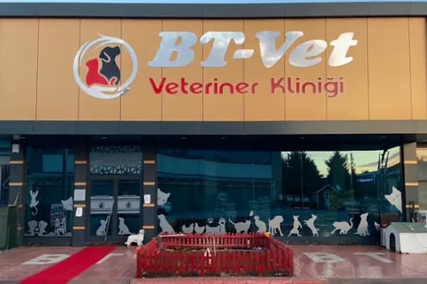 BT Veteriner Kliniği - Veteriner - Konya Selçuklu