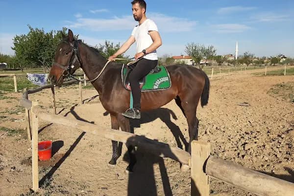 Cihangir binicilik aile tesisi - Binicilik Okulu - Konya Akşehir