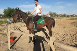 Cihangir binicilik aile tesisi
