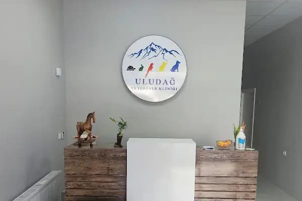 Uludağ Veteriner Kliniği | 7/24 Acil Veteriner | Bursa Veteriner | Nöbetçi Veteriner | Osmangazi Veteriner - Veteriner - Bursa Osmangazi