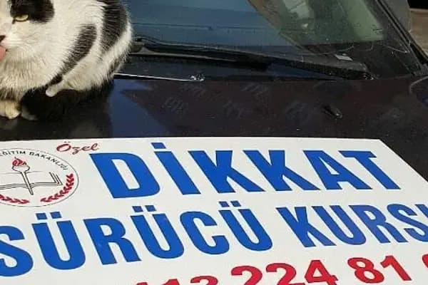 Özel Dikkat Sürücü Kursu - Sürücü Kursu - Diyarbakır Yenişehir