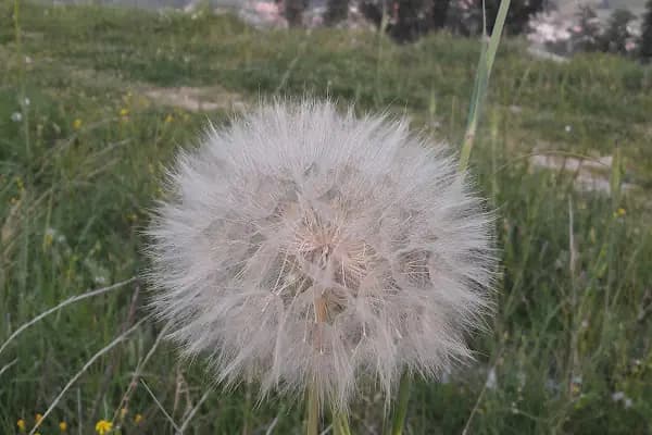 Çocuk Parkı - Park - Adana Karaisalı