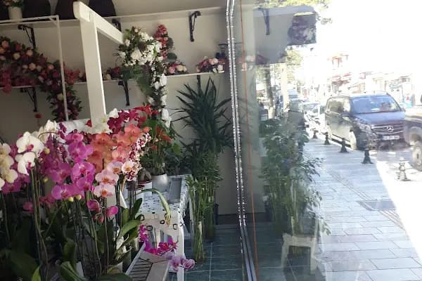 Beyaz Papatya Çiçekçilik - Çiçekçi - Muğla Bodrum