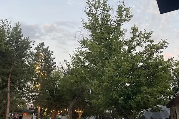 Alissa Çamlık Restaurant - Restoran - Sivas Sivas Belediyesi