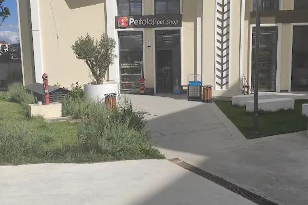 Petshop Petoloji - Evcil hayvan mağazası - Kocaeli İzmit