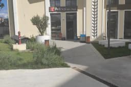 Petshop Petoloji