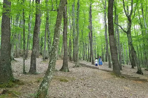 Fatih Çeşmesi Tabiat Parkı - Milli Park - İstanbul Eyüpsultan