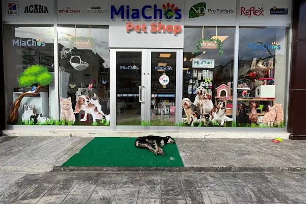 Miachos Petshop - Evcil Hayvan Malzemeleri Mağazası - Kocaeli Başiskele