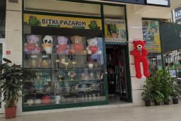Zen çiçekçilik