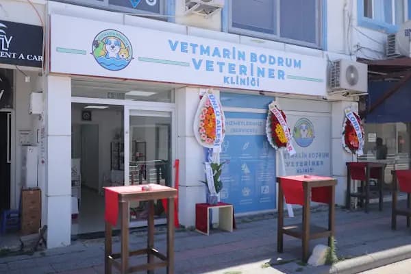 VetMarin Bodrum Veteriner Kliniği - Veteriner - Muğla Bodrum