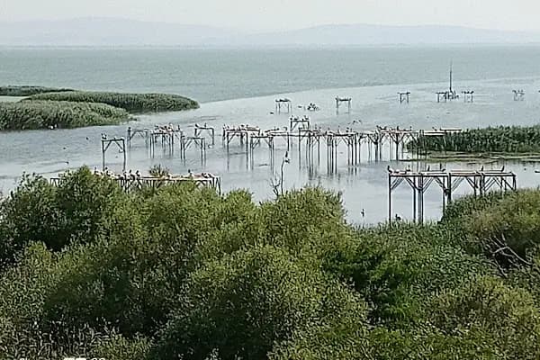 Kuşcenneti Milli Parkı - Ulusal park - Balıkesir Karesi
