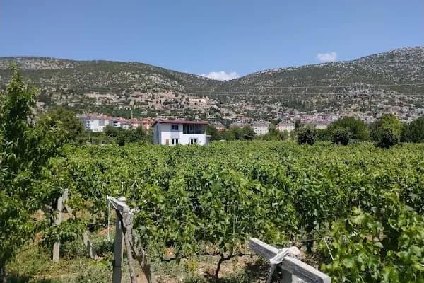 Akseki - Yerleşim Yeri - Antalya Akseki