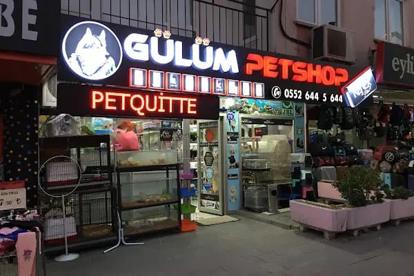 Gülüm Petshop - Evcil hayvan mağazası - Ankara Keçiören