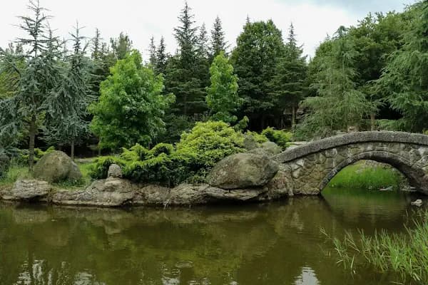 Bayraktepe Tabiat Parkı - Doğa Koruma Alanı - Samsun 19 Mayıs