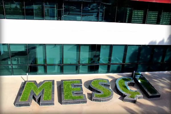 Mesçi Grup - Gıda Ürünleri Tedarikçisi - Şanlıurfa Akçakale