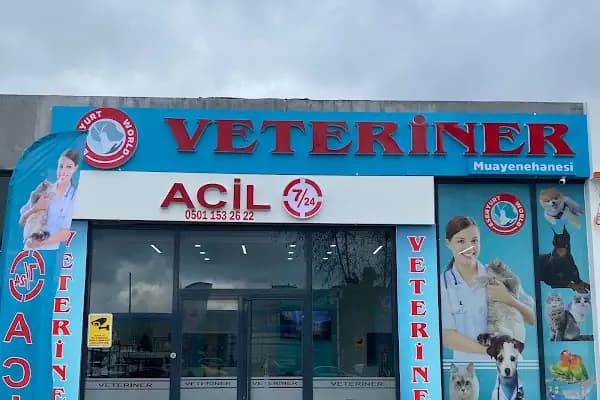 Esenyurt WORLD VETERİNER KLİNİĞİ - Veteriner - İstanbul Esenyurt