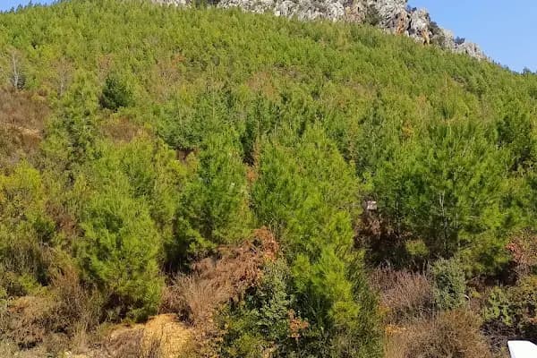 Ovabaşı Köyü Muhtarlığı - Otel - Mersin Bozyazı