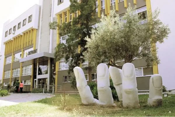 Algomedi Information Technologies - Yazılım Şirketi - İzmir Bornova