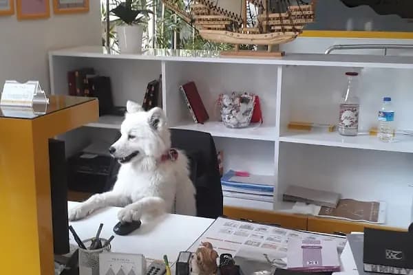 UMUTVET Veteriner Kliniği - Veteriner - Konya Meram