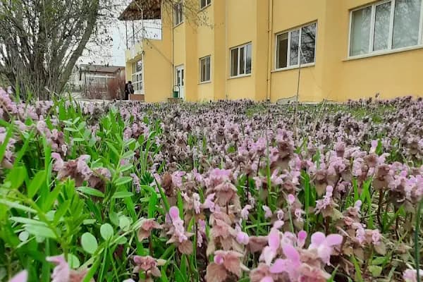 Ankara Üniversitesi Kalecik Meslek Yüksekokulu - Üniversite - Ankara Kalecik