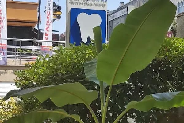 Dentpoint Ağız Ve Diş Sağlığı Polikliniği - Diş Kliniği - İstanbul Zeytinburnu