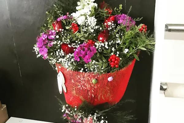 BOTANİK ÇİÇEK EVİ - Çiçekçi - Bilinmeyen Şehir Bilinmeyen İlçe