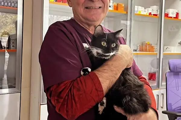 Tek İlaç Veteriner Kliniği - Veteriner - İzmir Bornova