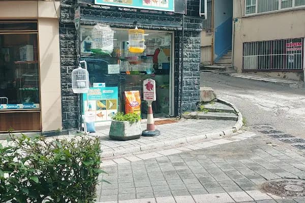 ATLANTİS AKVARYUM VE PETSHOP - Evcil hayvan mağazası - Bursa Gemlik