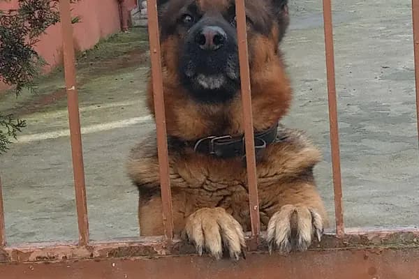 Gazi Osman Paşa Mahallesi Çocuk Parkı - Park - Tekirdağ Çerkezköy