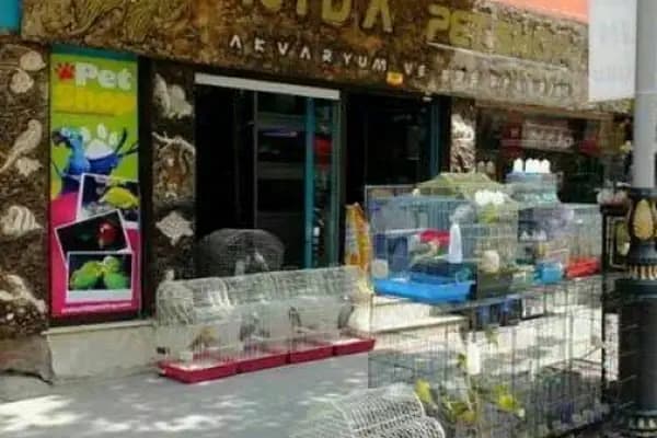 Pati'ş Petshop - Evcil hayvan mağazası - Malatya Battalgazi