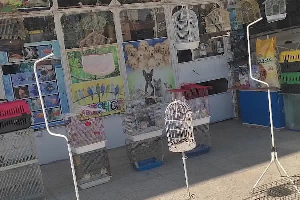 Burkan Pet Shop - Evcil hayvan mağazası - Ankara Keçiören