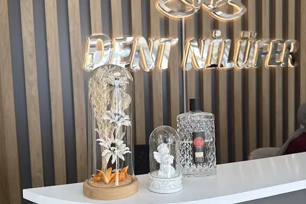Dent Nilüfer Ağız ve Diş Sağlığı Merkezi - Diş Kliniği - Bursa Osmangazi