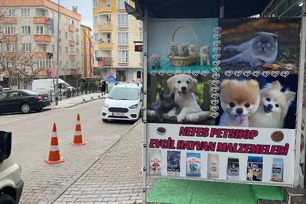 Nefes petshop - Evcil hayvan mağazası - İstanbul Kadıköy