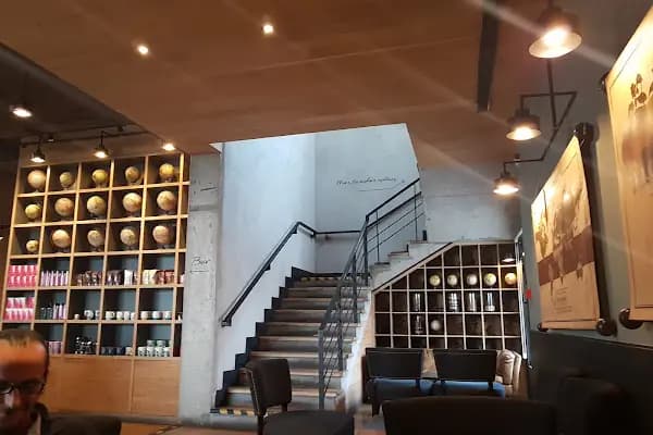 Starbucks - Kahve dükkanı - Kocaeli Çayırova