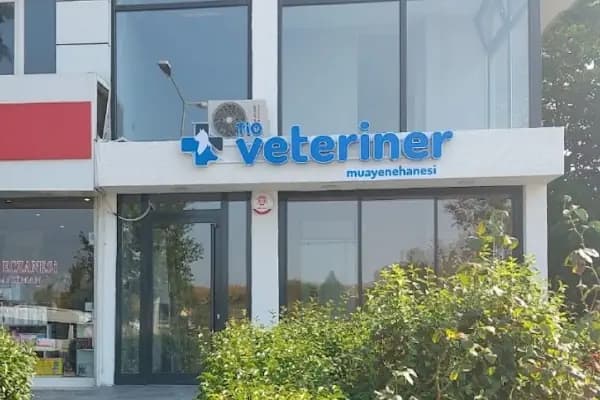 Tio Veteriner Kliniği - Veteriner - Bursa Nilüfer