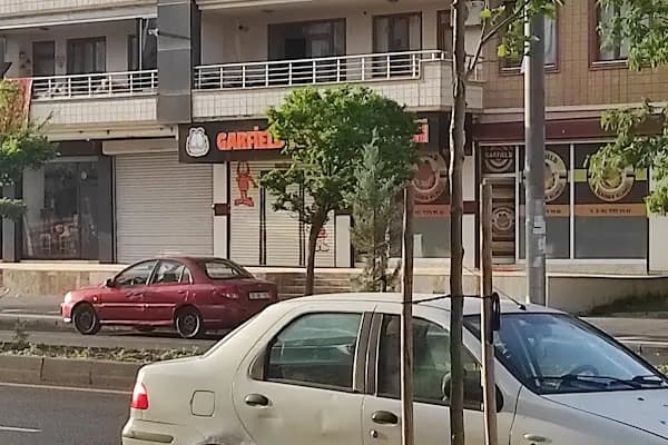 Garfield Veteriner Kliniği | Diyarbakır - Veteriner - Diyarbakır Kayapınar