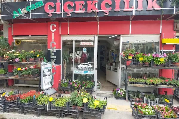Alaçam Çiçekçilik - Çiçekçi - Samsun Alaçam