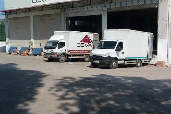 Ceva Lojistik - Karadeniz Bölge Müdürlüğü - Lojistik Firması - Samsun İlkadım