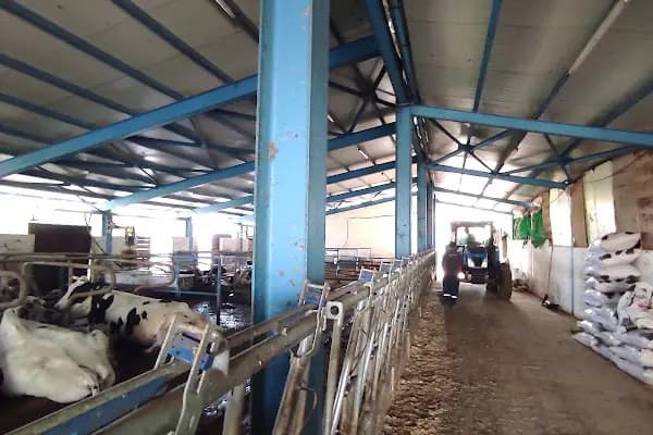 Arı Modern Süt Çiftliği - Büyükbaş Hayvan Çiftliği - Bursa Karacabey