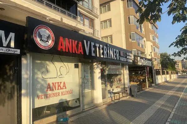 Özlüce Anka Veteriner Kliniği - Veteriner - Bursa Nilüfer
