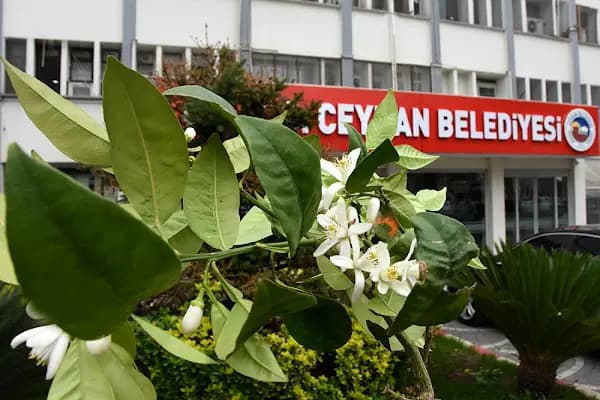 Ceyhan Belediyesi - Belediye Binası - Adana Seyhan